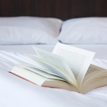 Hotel De La Vendée La Roche-sur-Yon