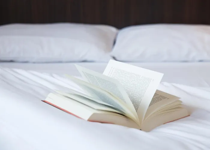 De La Vendee Отель 2*